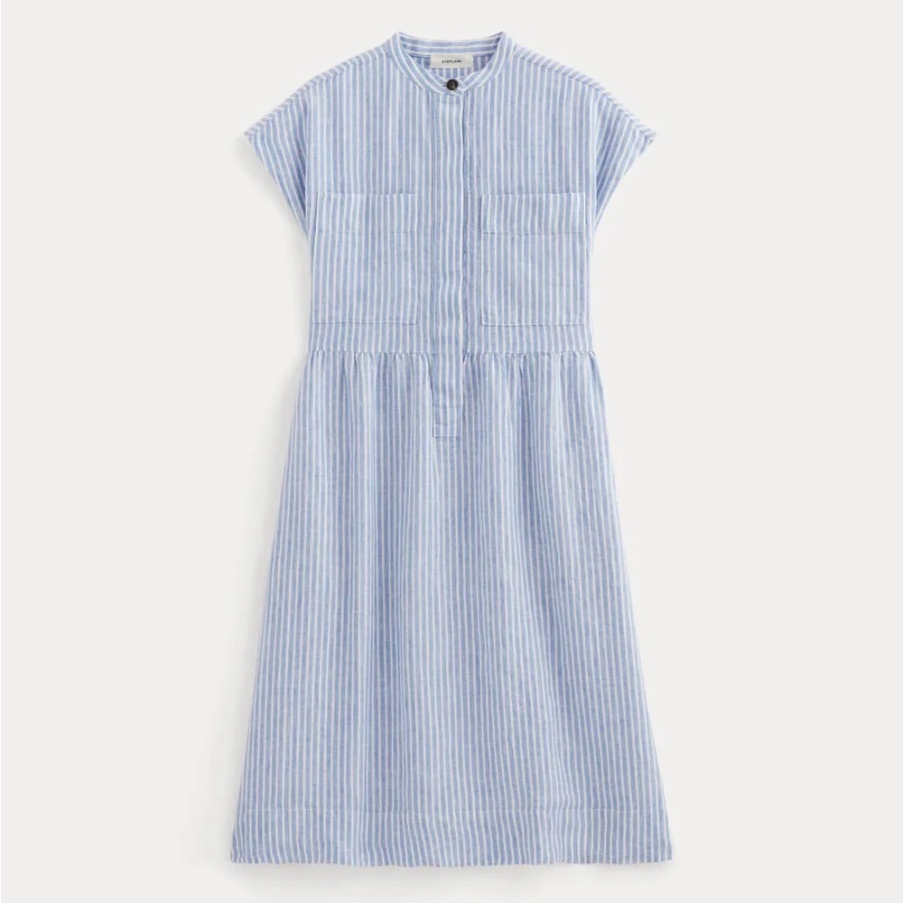 Everlane Light Blue Striped Midi Dress